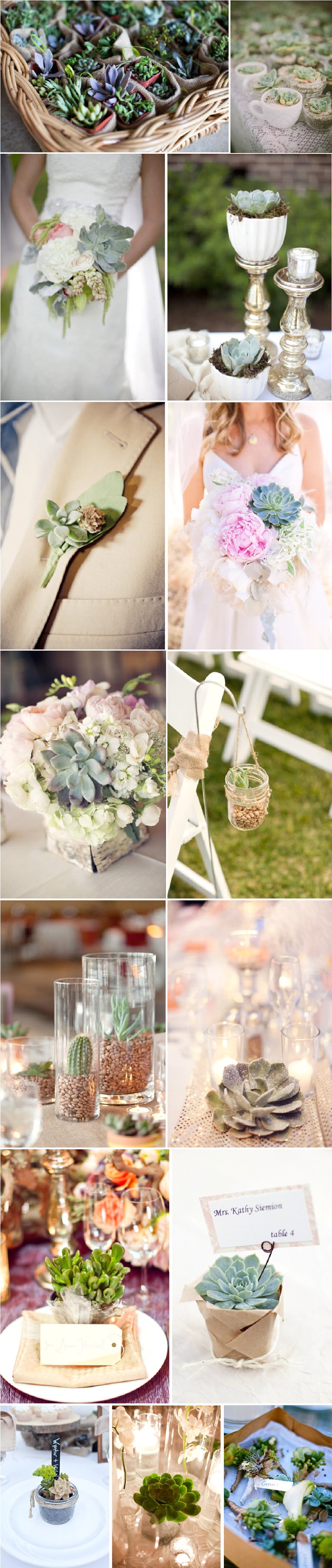 decoration mariage succulentes